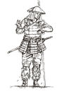 ashigaru2