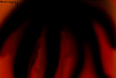 the-hand the-hand