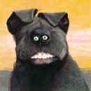cute-doggie cute-doggie