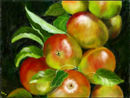 apples-on-a-branch