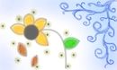 flover