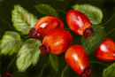 autumn-fruits