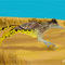 desert-griffin by BluTaiger