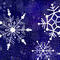 touching-snowflakes by mudpuddle