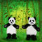 dancing-pandas by mudpuddle