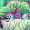 frog-in-a-cabbage-patc by betty