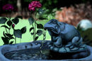 the-frog-fountain the-frog-fountain