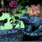 the-frog-fountain by sonia55