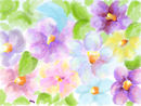 floral-composition