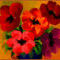 five-different-poppies by ploiesteana