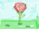 practice-rose practice-rose