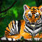 tiger by snee