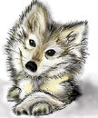 pup