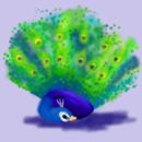 peacock peacock
