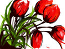 red-tulips-again red-tulips-again