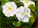 little-white-flowers