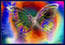 double-butterfly