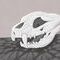 mysterious-skull by blackblaze