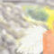sun-ray-angel by Sorrowfulxsoul