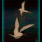 arctic-terns by krapphace
