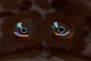 bright-eyes-i-darkness