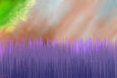 skygrass
