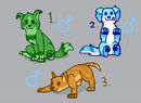 puppy-doggy-adoptable-