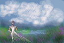 lavender-field lavender-field