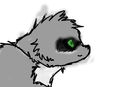 raccoon-quick-sketch-c raccoon-quick-sketch-c
