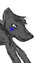 wolf-shading-and-sketc