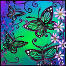 butterflies butterflies