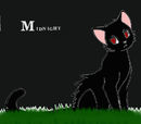 midnight midnight