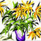 yellow-flowers by ploiesteana