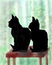 two-black-siamese two-black-siamese