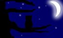 moon-gazing