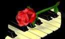 music-for-nela