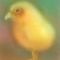 chick by j58roldan