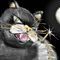 fullmoon-badpuss by summer