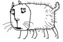 pferd