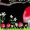 toadstools by spring
