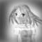 the-grey-lady by sketch13