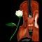 violin by jokkio