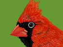 cardinal