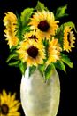 my-personal-sunflowers