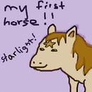 my-attempt-on-a-horse