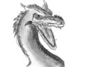dragon-sketch