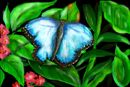 on-a-butterfly-farm-in