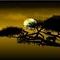 evening-solitude by dooby