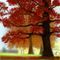 fall-red by elli