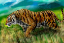 tiger-in-landscape